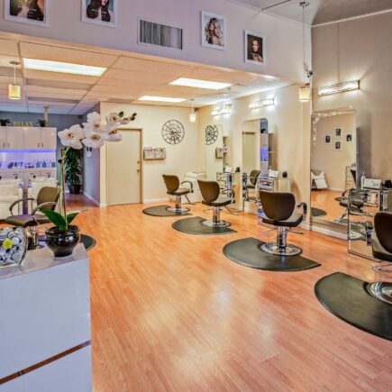 salon
